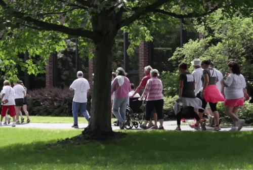 Click to play video: Hospice Walk